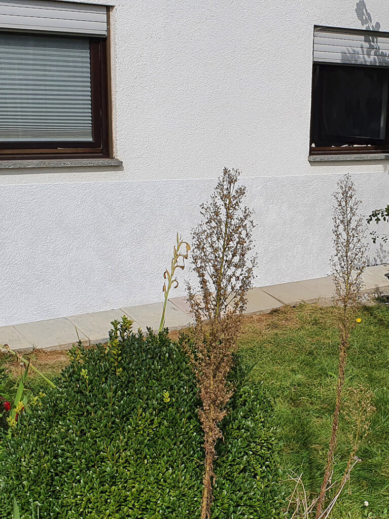 kewabo® gmbh ravensburg referenzen